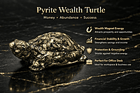 ankkjyoti Resin Pyrite Turtle