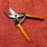 Major Cut Pruner for gardening