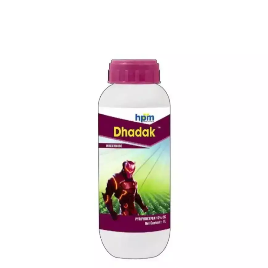 Dhadak -(HPM)