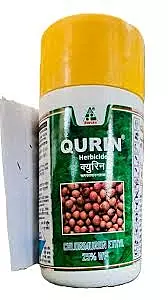 Qurin-(Dhanuka)