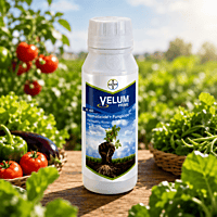 Velum Prime SC 400 Nematicide | Fungicide | Bayer Crop Science | Vetrivel Agro Services