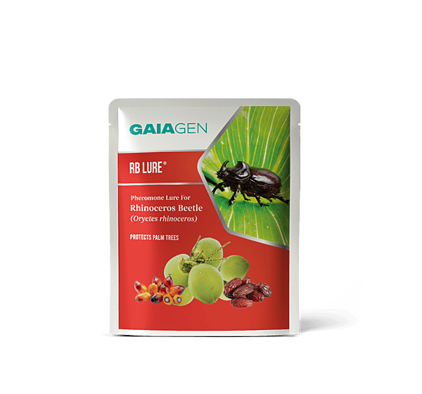 Gaiagen RB Lure® - Rhinoceros Beetle (Oryctes rhinoceros)