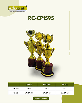 RC-CP1595K G (S) W/LID 22.50CM