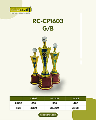 RC-CP1603C G/B 30CM