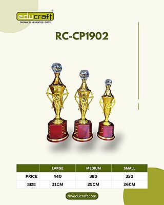 RC-CP1902B 29CM 18%