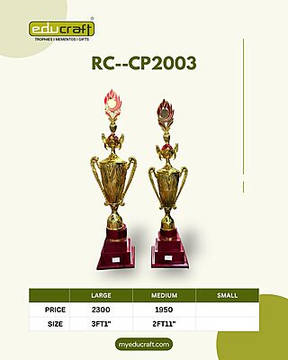 RC-CP2003A G/R 3 FEET 1"