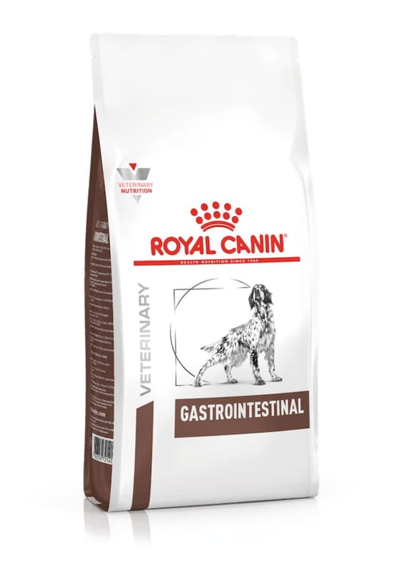 Royal Canin Gastrointestinal Adult Dog Dry Food