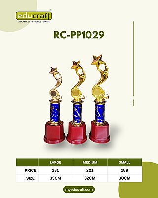 RC-PP1029T C 35CM 18%