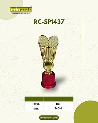 RC-SP1437  DOUBLE RACKET 24CM 18%