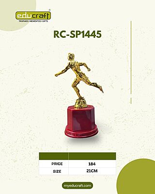 RC-SP1445G 21CM (RUNNIG) 18%