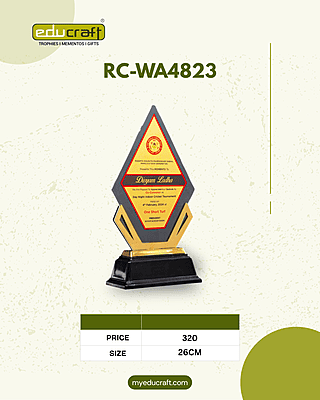 RC-WA4823C 26CM
