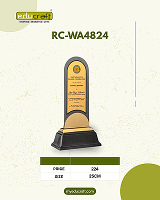 RC-WA4824C 25CM