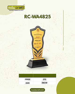RC-WA4825C 26CM