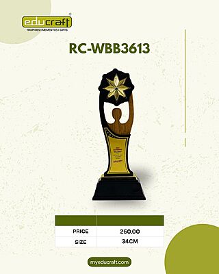 RC-WBB3613A 34CM