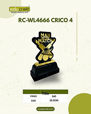 RC-WL4666 CRICO 4 22CM (8MM)