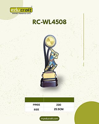 RC-WL4508B 34CM