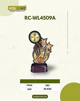 RC-WL4509A 28CM