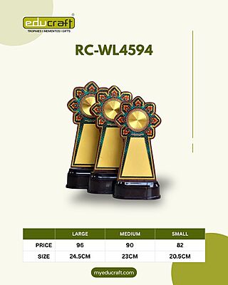 RC-WL4594A 24.50CM
