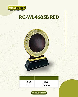 RC-WL4685B RED 24.50CM