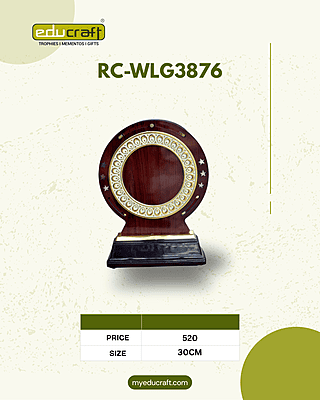 RC-WLG3876B 30CM