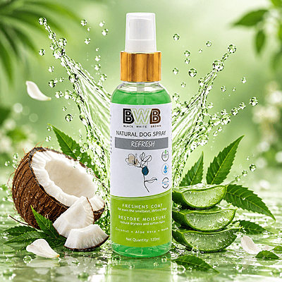 BWB REFRESH_DEOSPRAY BWB REFRESH_DEOSPRAY