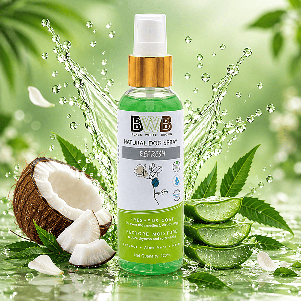 BWB REFRESH_DEOSPRAY BWB REFRESH_DEOSPRAY