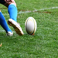 RuggedTurf™ - RG-10