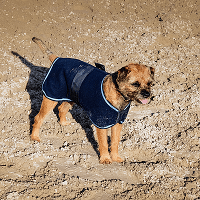 Equitheme Dog Blanket