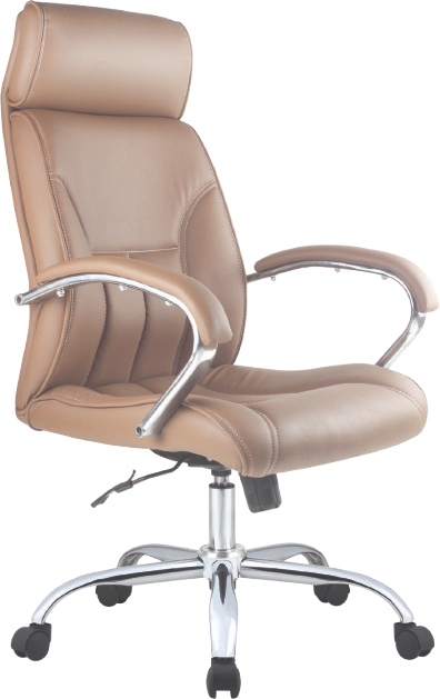 Ritzy High back Chair