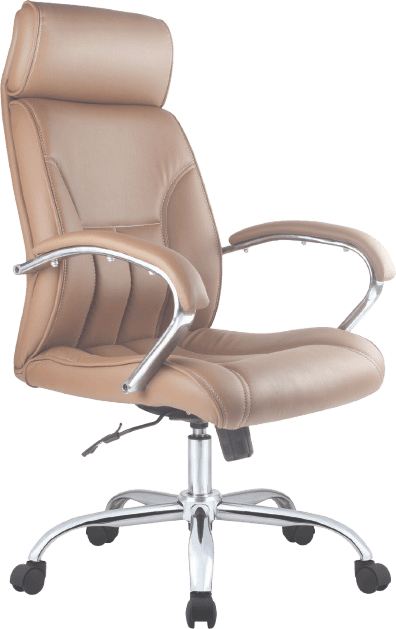 Ritzy High back Chair