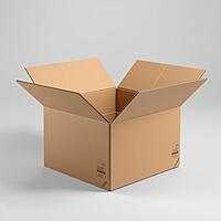 RN1232U - Universal Corrugated Box - 5 Ply - Strong - 31x28x20.5 cm / 12.2x11x8.1 inch - OD
