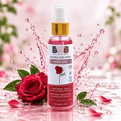 BWB MYSTIC-ROSE_DEO SPRAY BWB MYSTIC-ROSE_DEO SPRAY