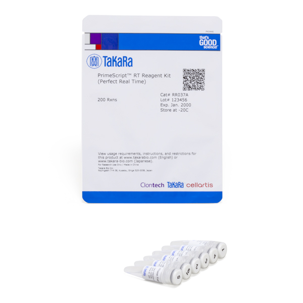 PrimeScript™ RT Reagent Kit (Perfect Real Time) 200rxn TaKaRa