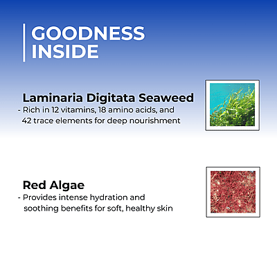 C-Serum Seaweed Filtrate