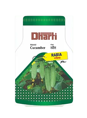 Hybrid Cucumber RABIA by Dharti Seeds