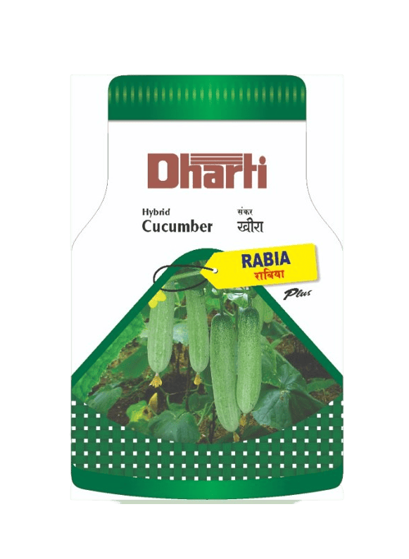 Hybrid Cucumber RABIA by Dharti Seeds