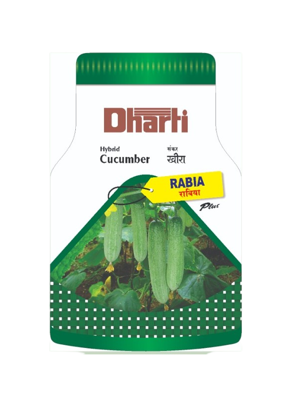 Hybrid Cucumber RABIA by Dharti Seeds