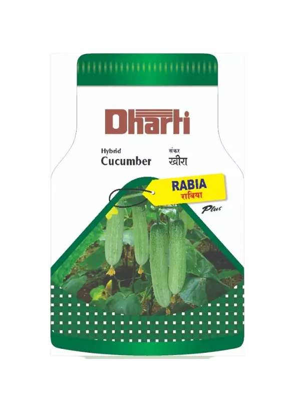 Hybrid Cucumber RABIA by Dharti Seeds