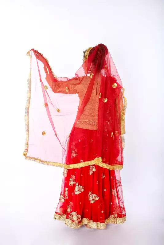 Radha Dress Lehenga Choli Fancy Dress Costume For Girls