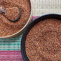 Ragi Finger Millet