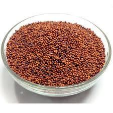 Ragi/Finger Millet