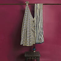 Dhaaree Satin Saree with BP