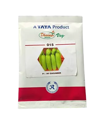 Rallis Dhaanya Seeds 015 F1 Hybrid Cucumber Seeds - 25 gm