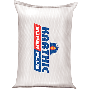 RAMCO SUPER KARTHICK CEMENT ( PPC )