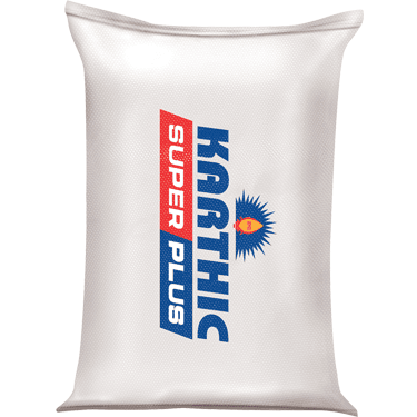 RAMCO SUPER KARTHICK CEMENT ( PPC )