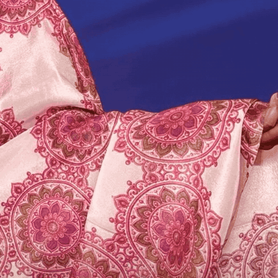 Ranjani | NAVA JYOTI Organza Saree