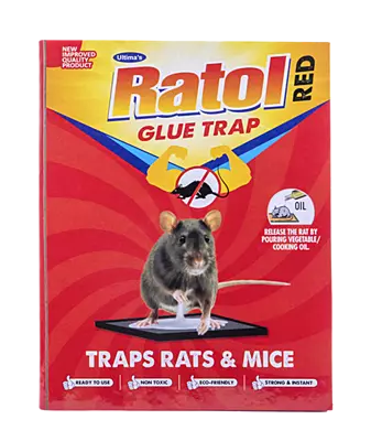 Ratol Glue Trap (Box of 300)