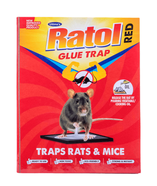 Ratol Glue Trap (Box of 300)