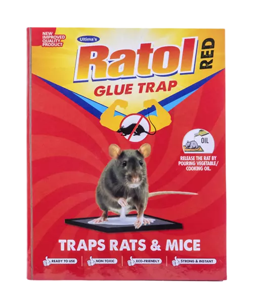Ratol Glue Trap (Box of 300)