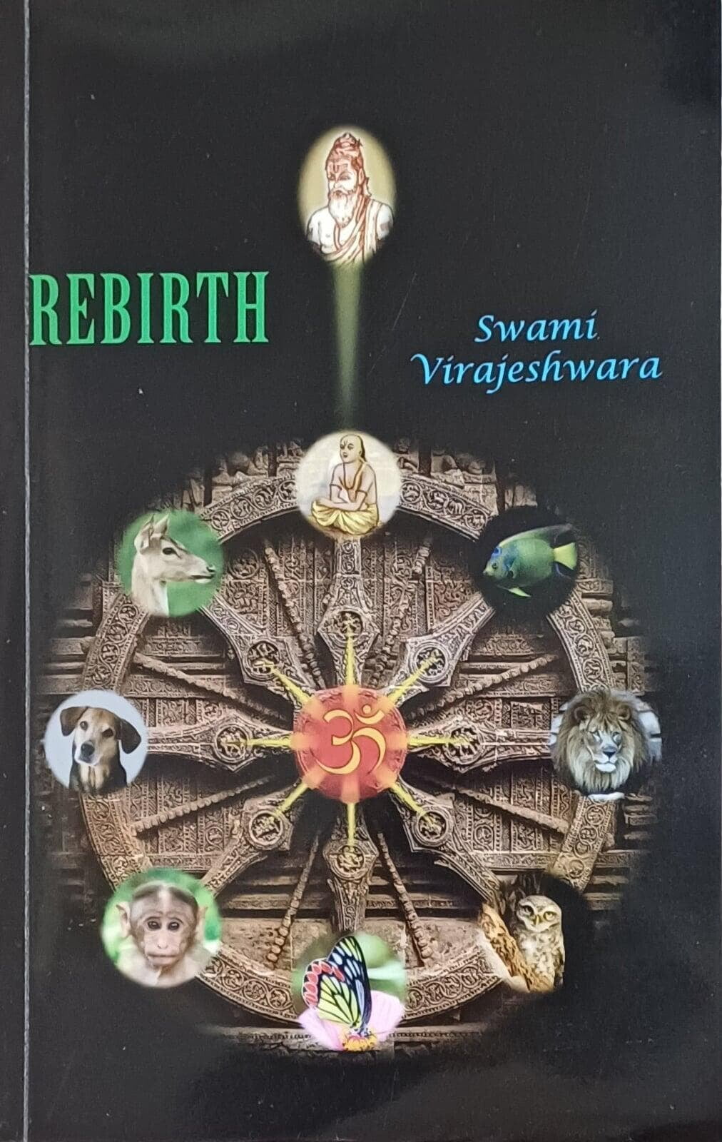 Rebirth Rebirth